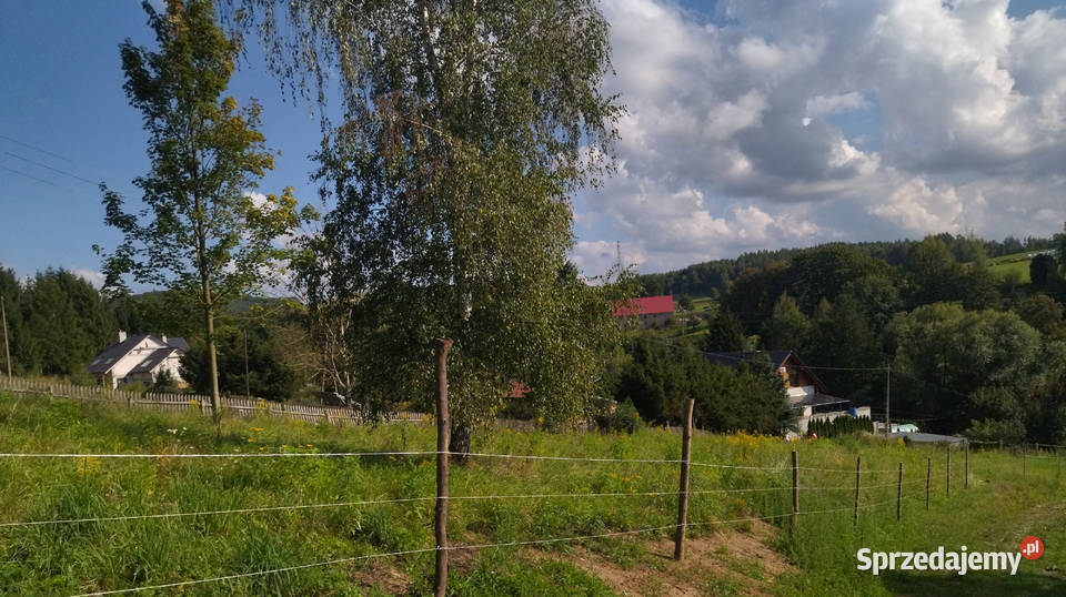 Działka budowlana w Sudetach Zachodnich Strzyżowiec