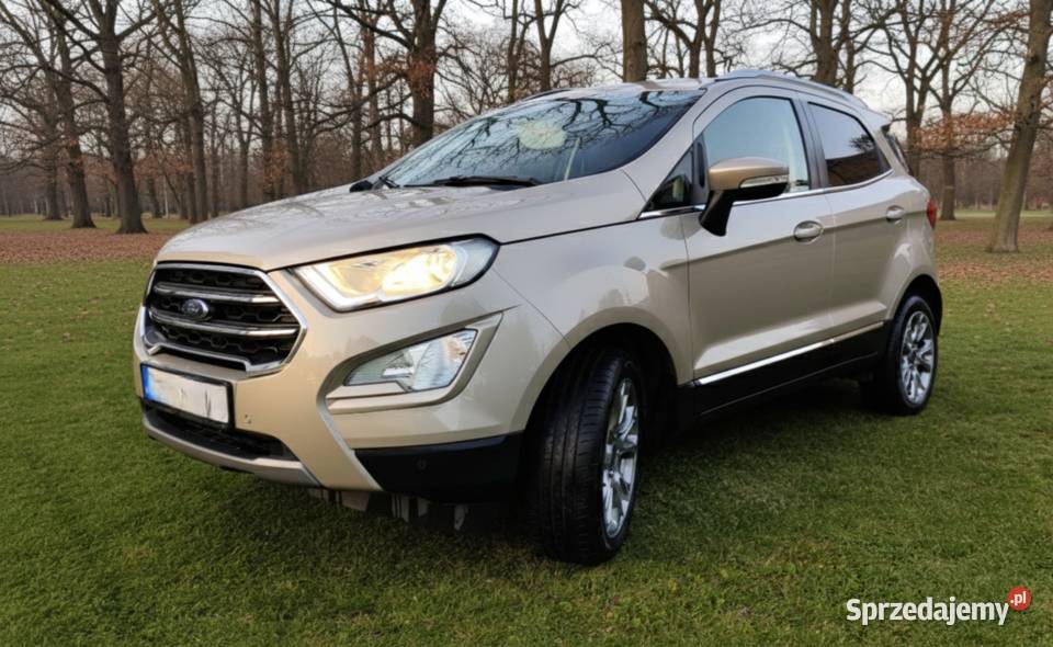 Ford EcoSport 2018r 125
