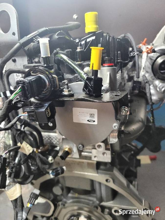 FORD RAPTOR SILNIK SERWIS MONTAŻ GWARANCJA mazowieckie Radom