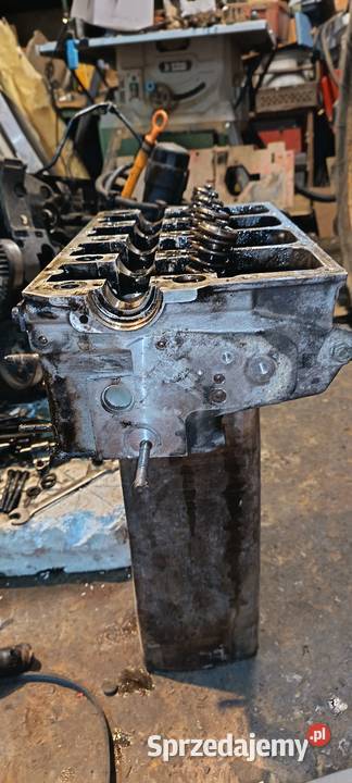 Głowica 19 TDI AVB świętokrzyskie Kobylany