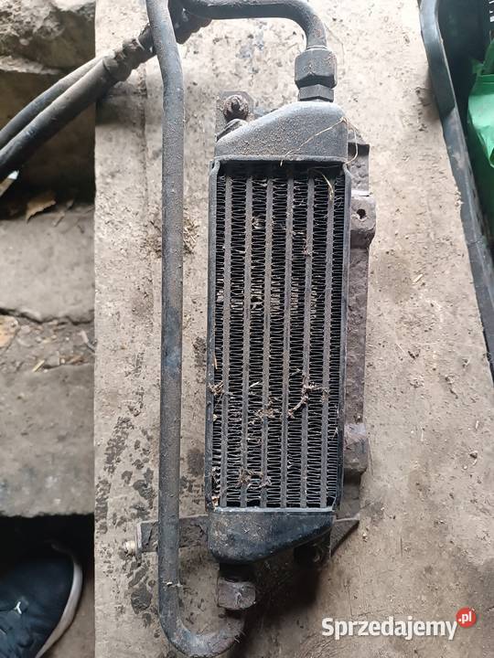 Chłodnica oleju astra f 17 td oplowski Sechna