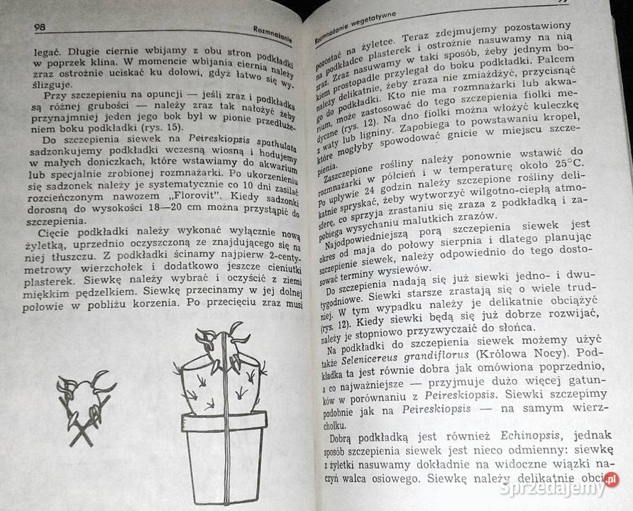 Uprawa kaktusów Stanisław Hinz Mieczysław Chełm