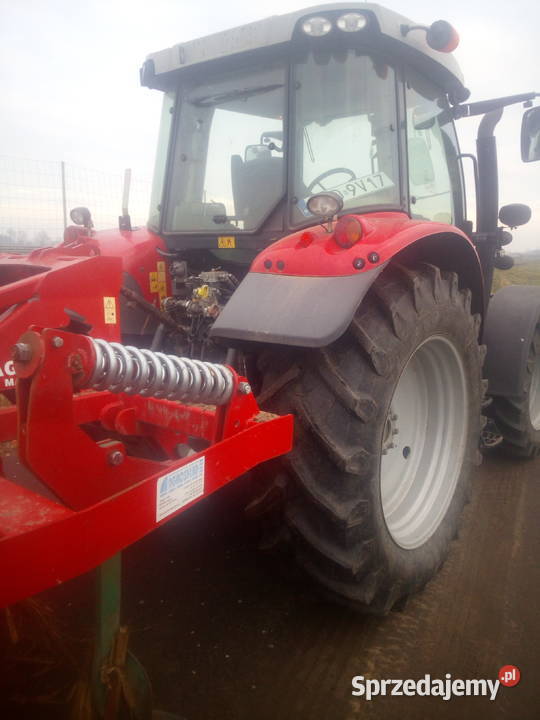 Massey Ferguson 5613 nieuszkodzony Drwalew