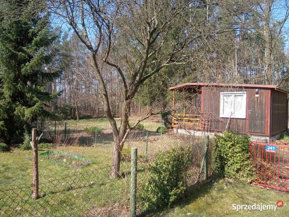 Działka ROD pod lasem Rembertów sprzedam