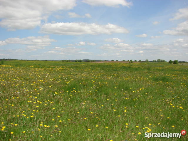 Działka na Mazurach z prywatnym dostępem do Elganowo