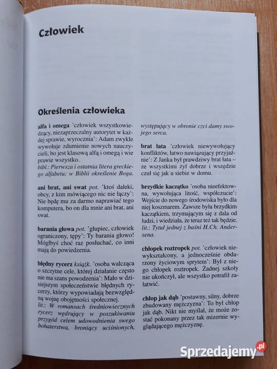 Słownik frazeologiczny Książki naukowe i popularnonaukowe Rybnik