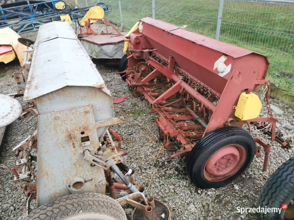 Siewnik poznaniak Jarocin