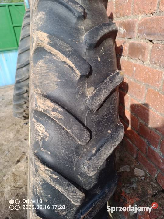 Koła dolnośląskie Legnica