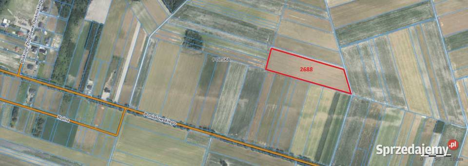 Działki rolne 5ha Ostrów LubelskiGłębokie Ostrów Lubelski