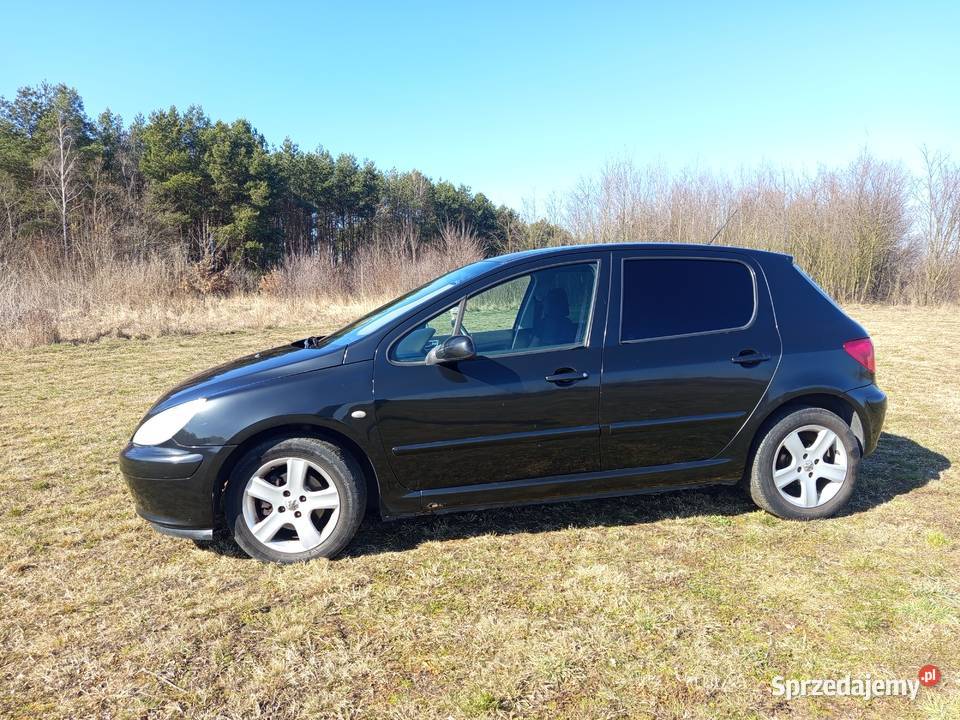 Peugeot 307 20HDI KLIMA Oszczędny Wygiełzów