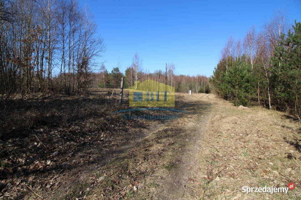 Działka 3002m2 w pięknym miejscu Sprzedaż