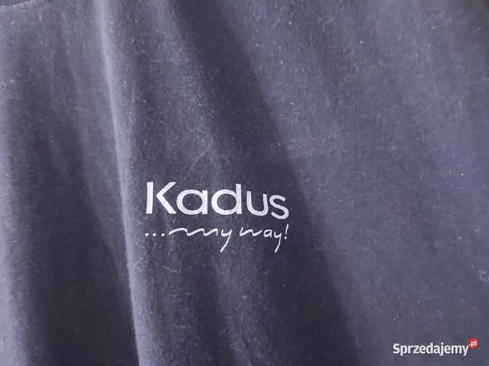 xxl jerzees duża szeroka koszulka bluzka letnia świętokrzyskie sprzedam