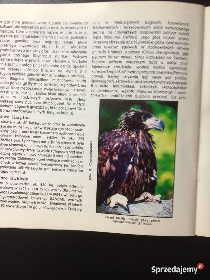 323 Police zachodniopomorskie Szczecin sprzedam