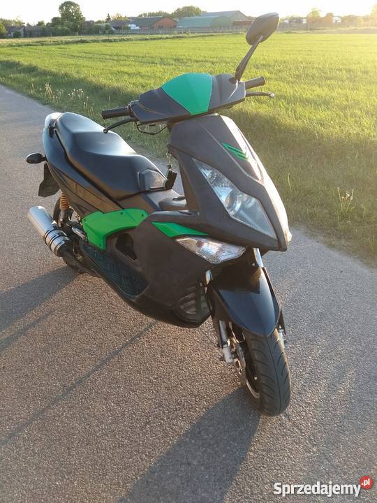 Zumico Avatar Biała Podlaska