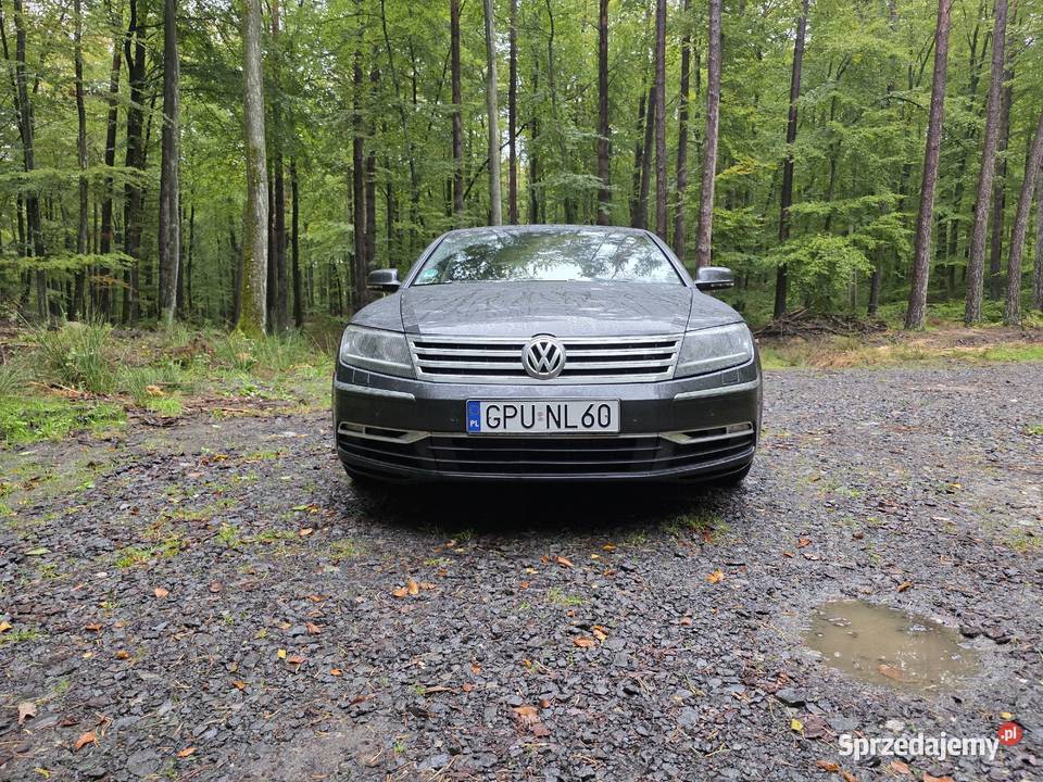 Vw Phaeton nieuszkodzony pomorskie Leśniewo sprzedam