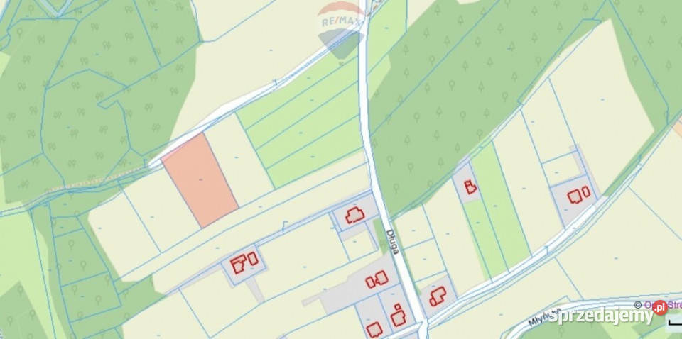 Działka rolna i las w gratisie śląskie Kończyce Wielkie