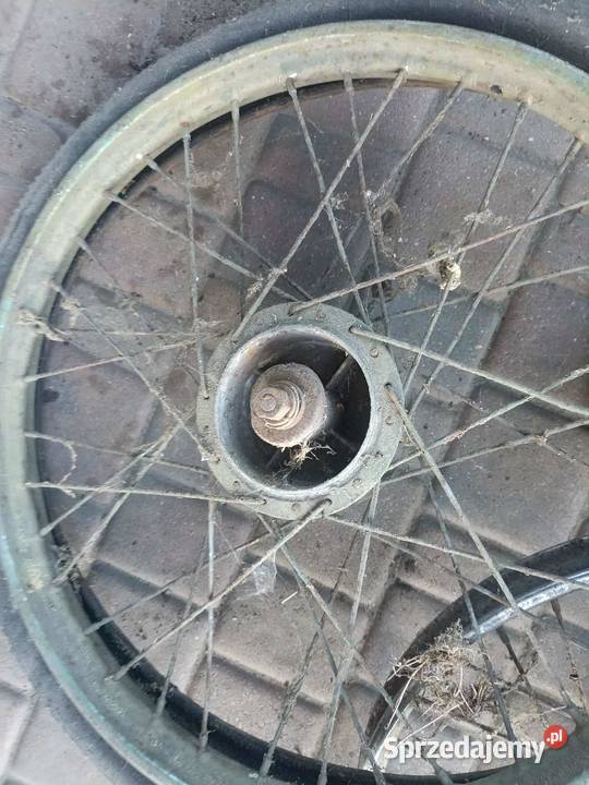 Koła komar Moczkowo