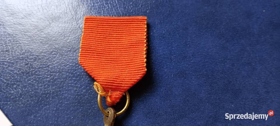 Stare monety Medal Holandia 130 Lesko