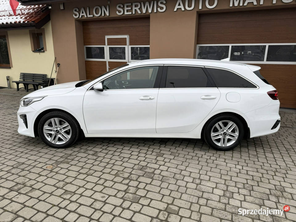 Kia Ceed 14 TGDI 140 Automat CarPlay Kamera III kamera cofania Kia Orzech
