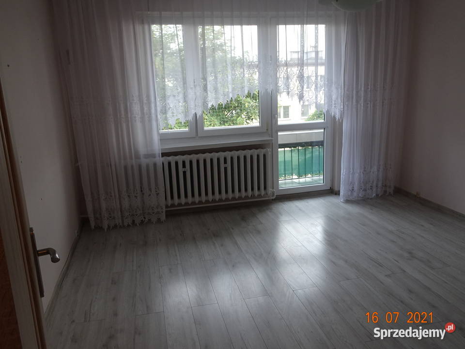 mieszkanie wynajem własność