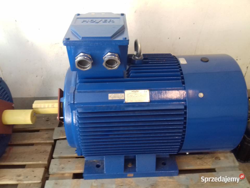 Silnik elektryczny 55kw 75kw 90kw 110kw 132kw
