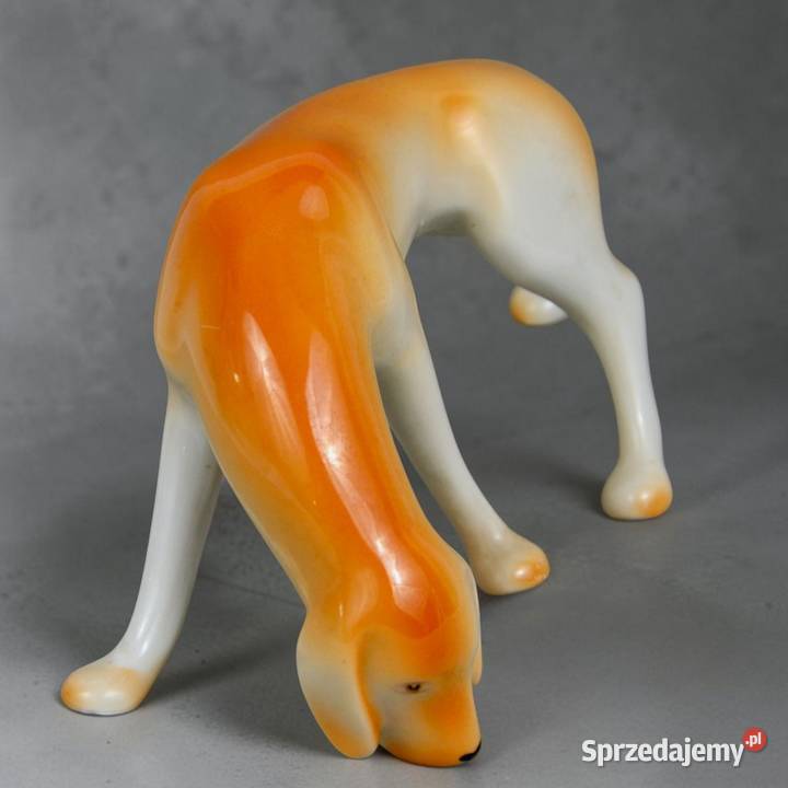 Pies wyżeł krótkowłosy Aurl Kldor porcelana