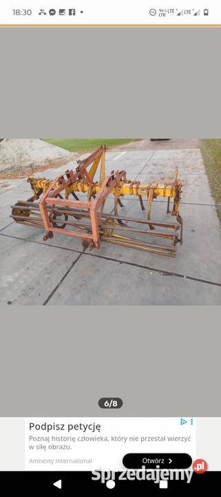 Głębosz bezorkowiec Rumptstad z wałem kujawsko-pomorskie Stolno