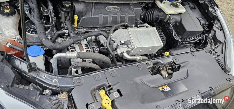 Ford S TITANIUM 20 EcoBlue Chełm