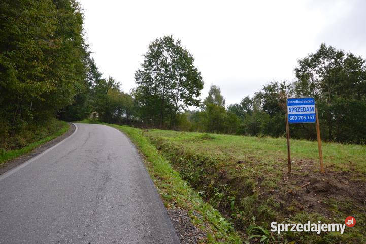 sprzedaży gruntu 12337m2 Nowy Wiśnicz sprzedam