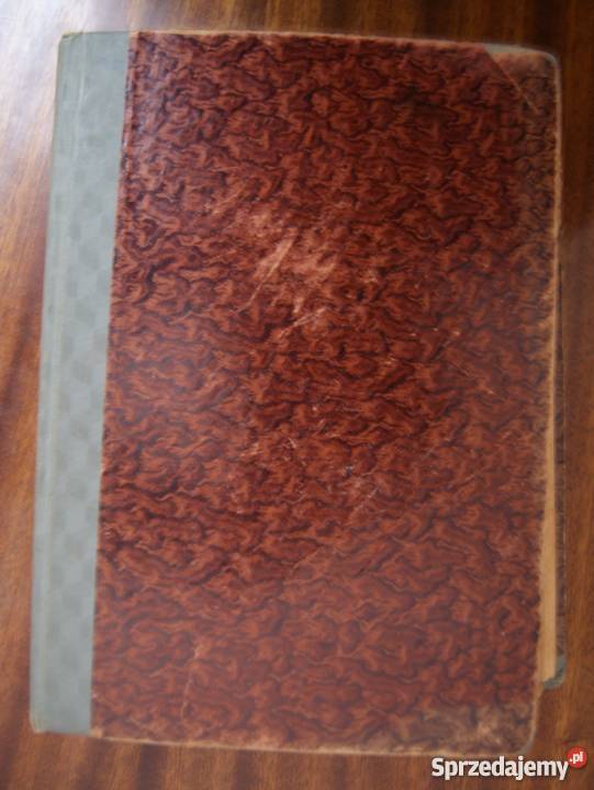 Wanda Wasilewska Płomień na bagnach 1948 Kultura i Rozrywka lubelskie Parczew sprzedam