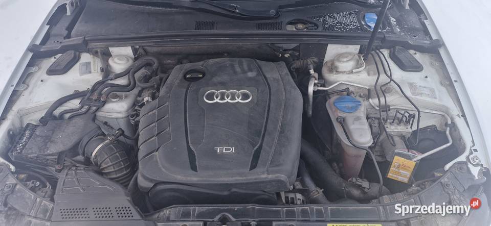 Audi A4 B8 Avant 20 TDI Automat 2013 LED Skóra Łapy