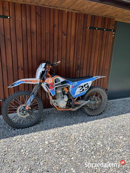 Diabolini mrz 250 Jeżowe