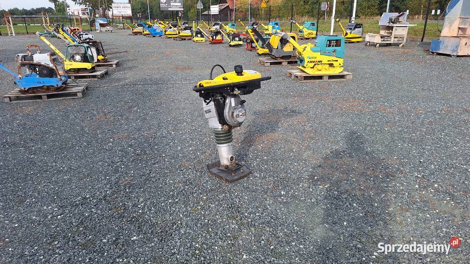 Skoczek Stopa WACKER NEUSON BS 502 plus 11in Trzebnica