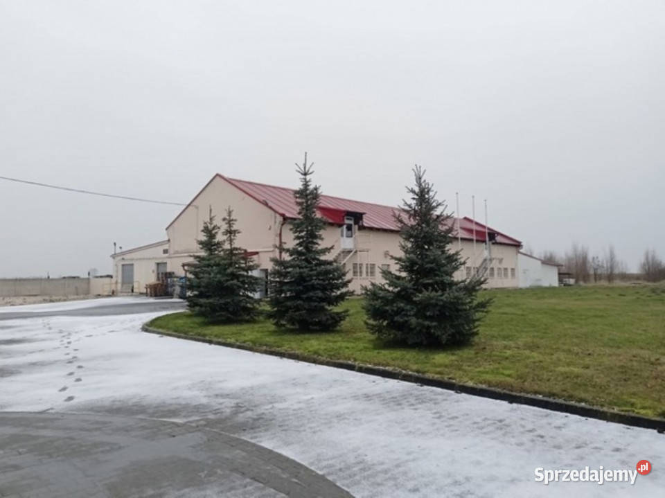 Sprzedaż przedsiębiorstwa zajmującego się