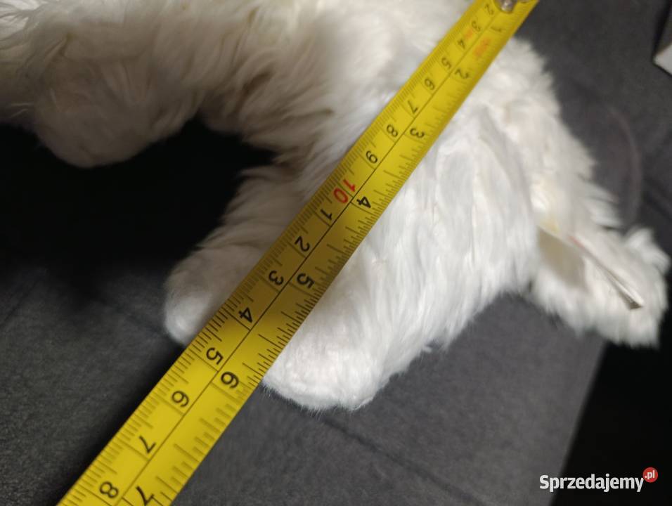 kot biały pluszak maskotka zabawka pluszowa Maskotki Poznań