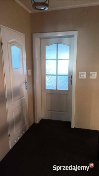 Las i rzeka bliźniak na kameralnym osiedlu asfalt Otwock