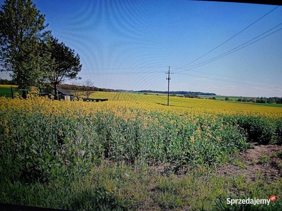 Działka rekreacyjna budowlana rolna pole lesie budowlana Sprzedaż lubelskie Tuszów