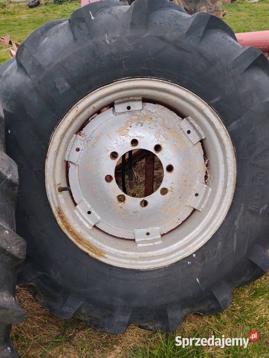 Koła bizon z056 Chmiel Pierwszy