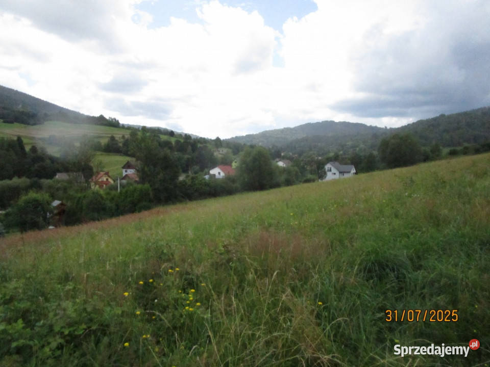 syndyk sprzeda działkę w Milówce Milówka