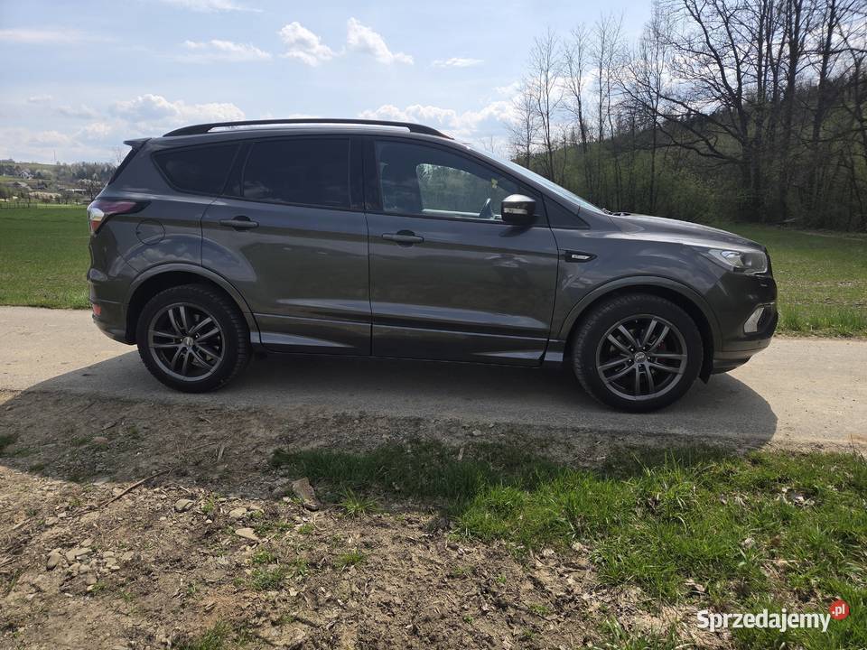 Ford kuga małopolskie Rogi