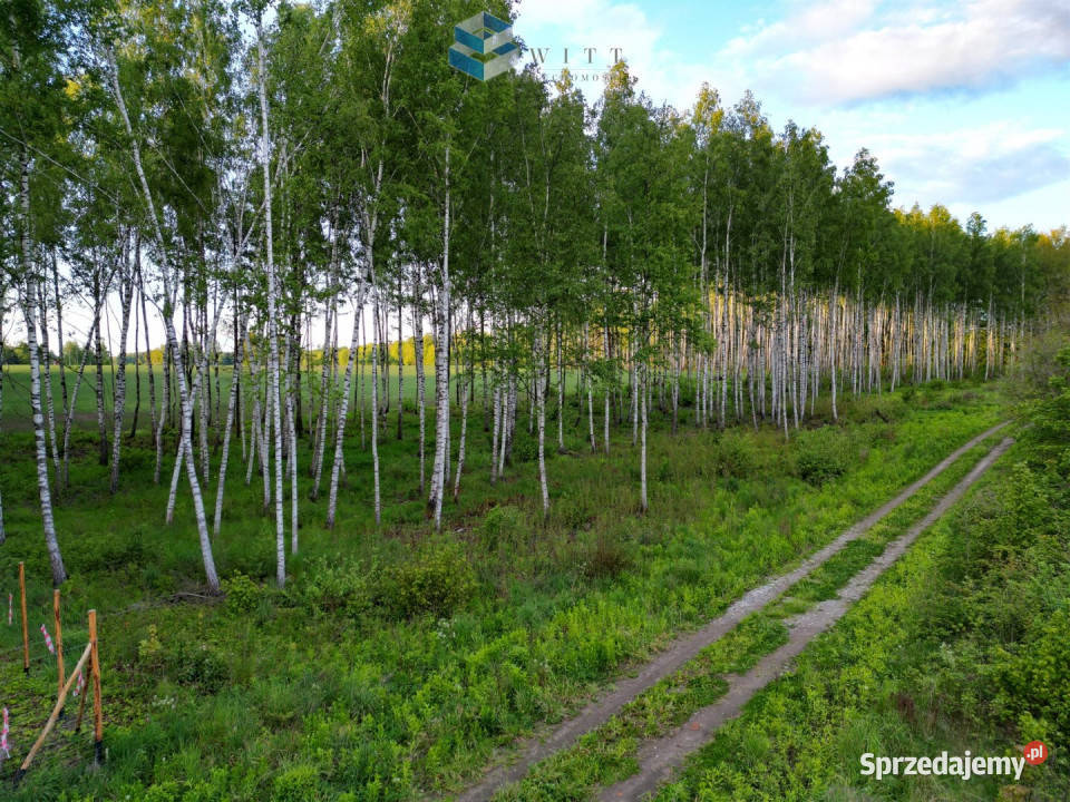 Grunt 1148m2 Mokiny 35m