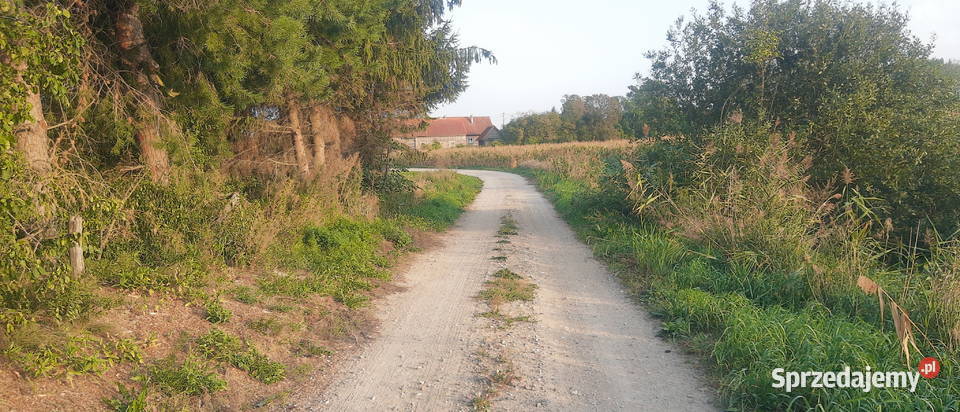 Mazury jeziorem warunki zabudowy warmińsko-mazurskie Kruklin