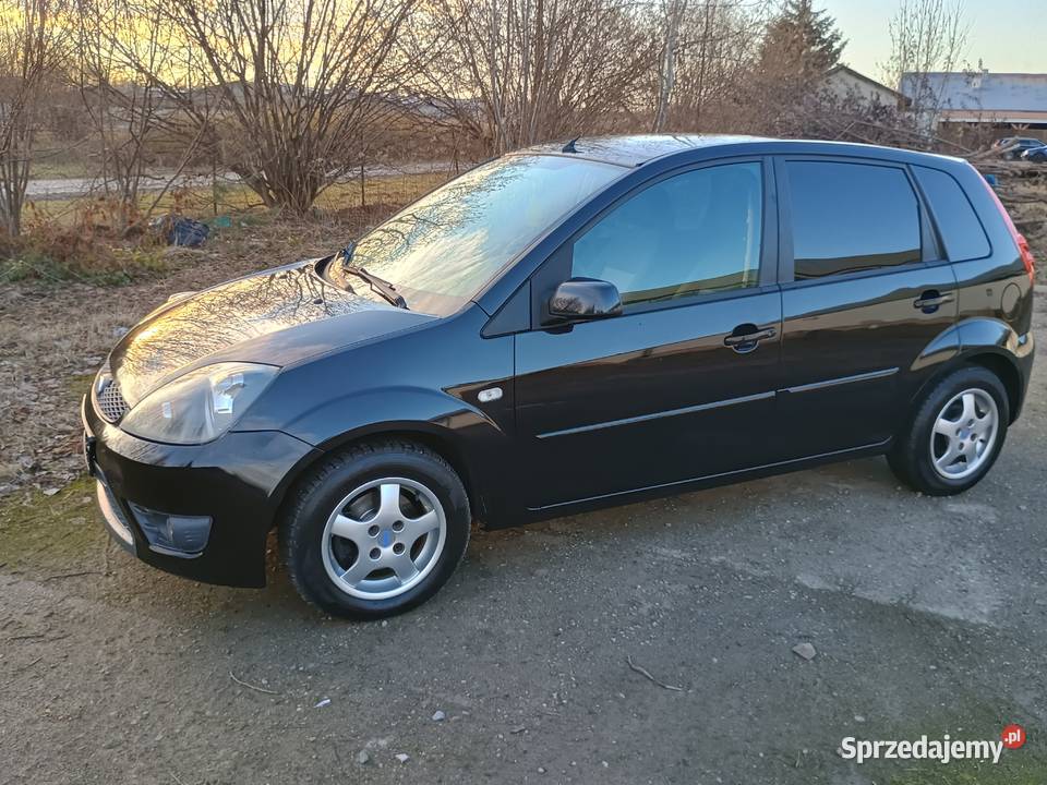Ford Fiesta 2008 14 benzyna 1400cm3