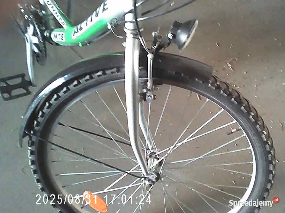 rower damka Złotniki Kujawskie