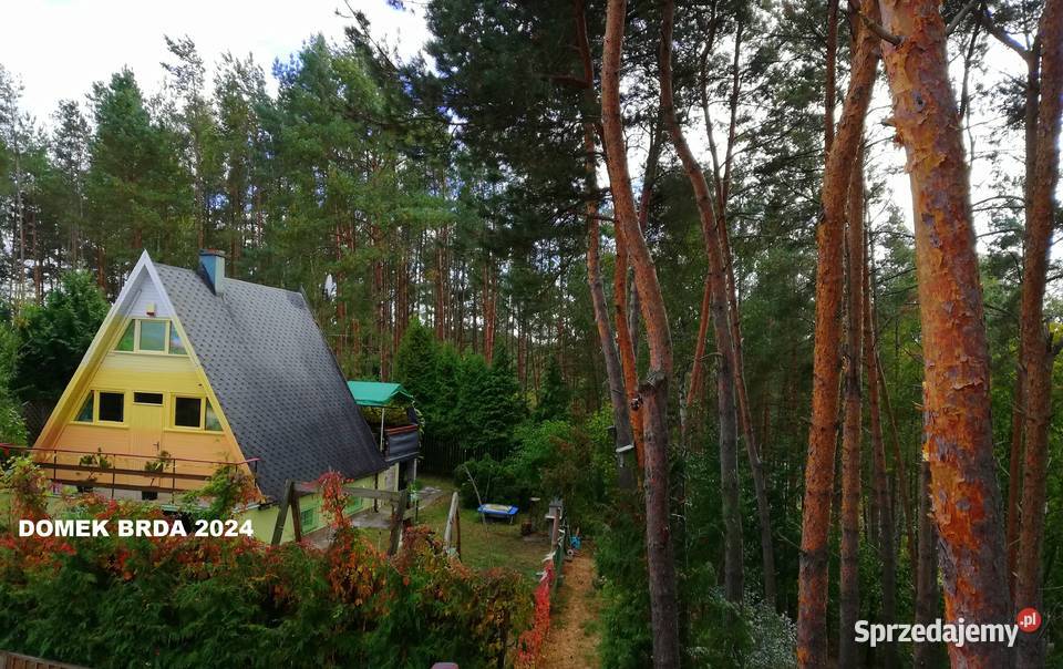 Domek letniskowy jeziorem z kominkiem działka kujawsko-pomorskie Sosno sprzedam