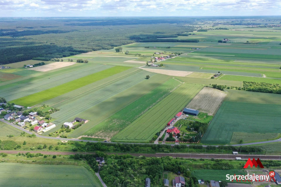 Grunt sprzedam Kowal 23519m2 27zł/m2 Sprzedaż sprzedam
