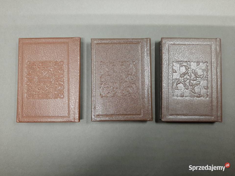 Miniaturowa literatura Lublin