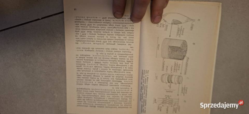 Ocena wysiłku statycznego pierwsze wydanie sprzedam