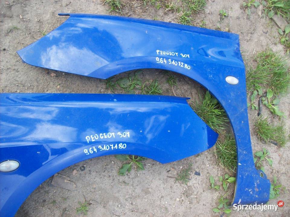 Peugeot 307 Blotnik przod przedni prawy lewy Mińsk Mazowiecki