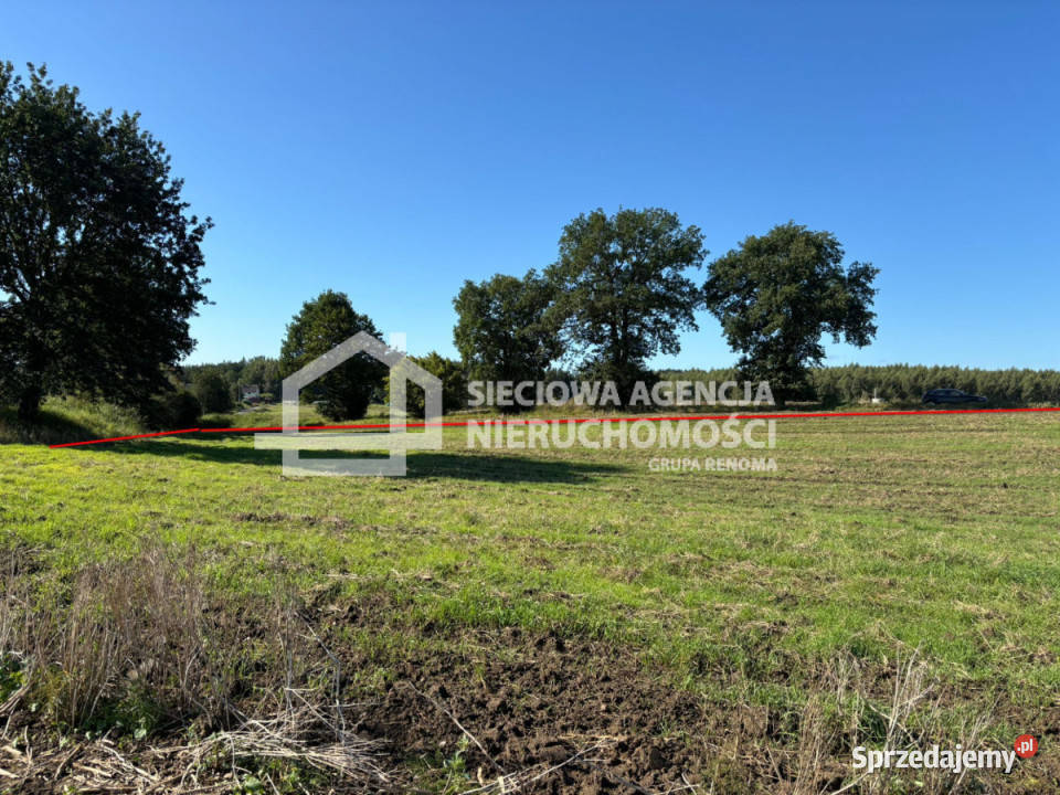 Działka 3000m2 Goszyn